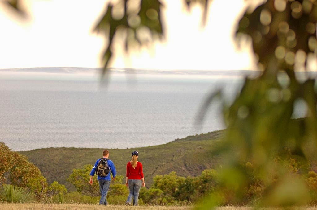 Walking SA — Hindmarsh, Adelaide