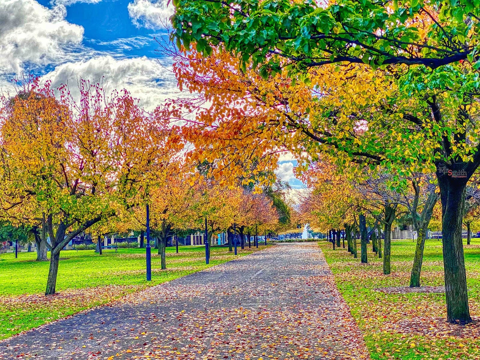 Wellington Square — North Adelaide, Adelaide