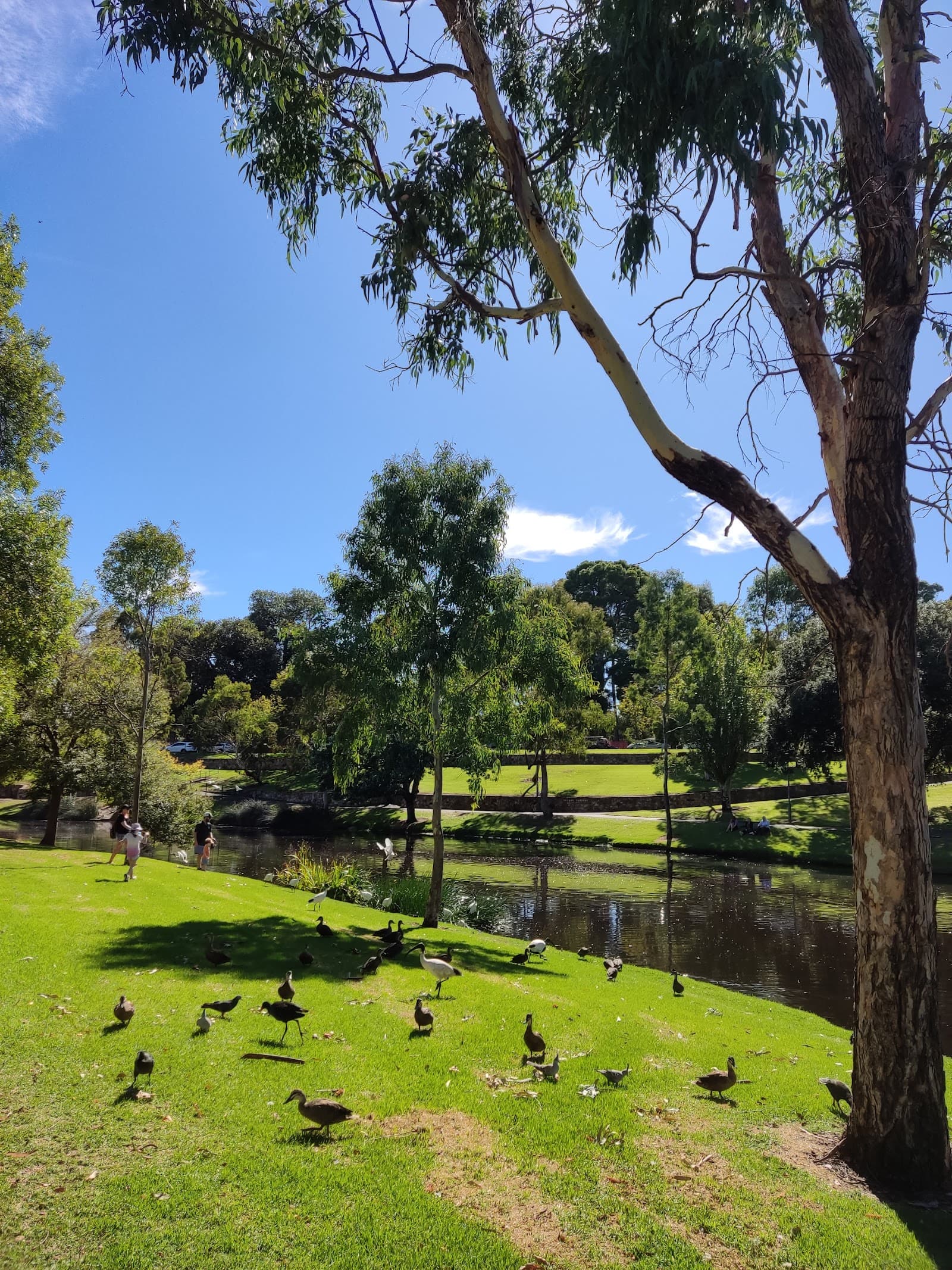 Grundy Gardens — North Adelaide, Adelaide