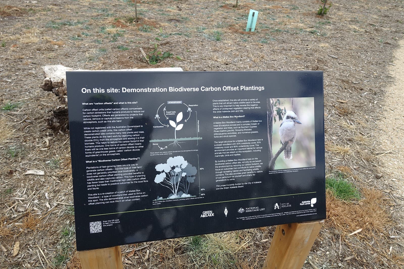Reservoir Park (Park 4) — North Adelaide, Adelaide