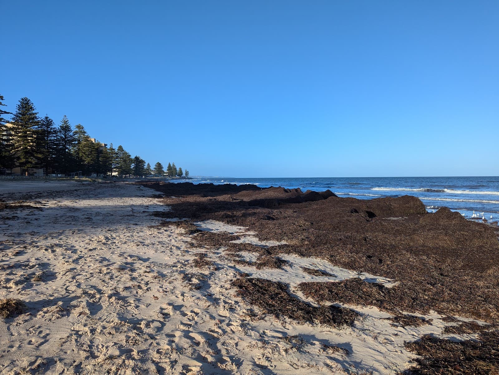 Glenelg Beach South of Jetty — Glenelg, Adelaide