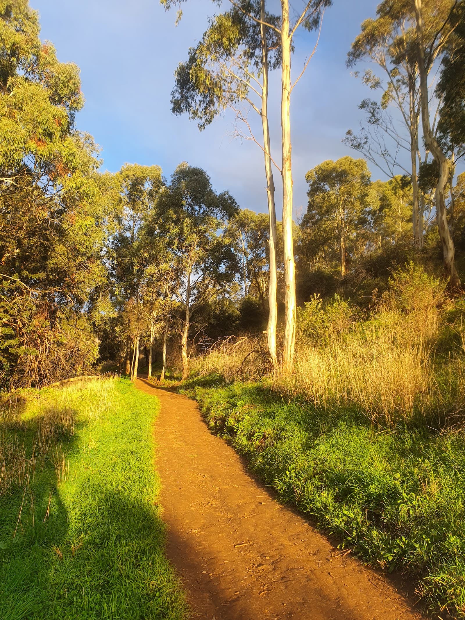 Beaumont Link Walking Trail — Burnside, Adelaide
