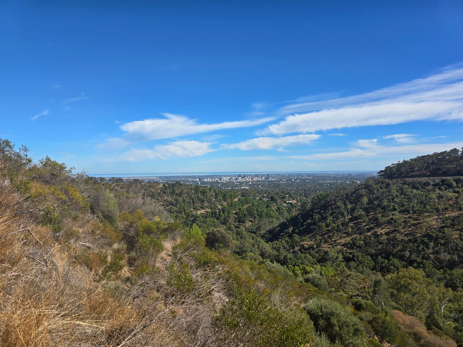Chambers Gully Park — Hindmarsh, Adelaide
