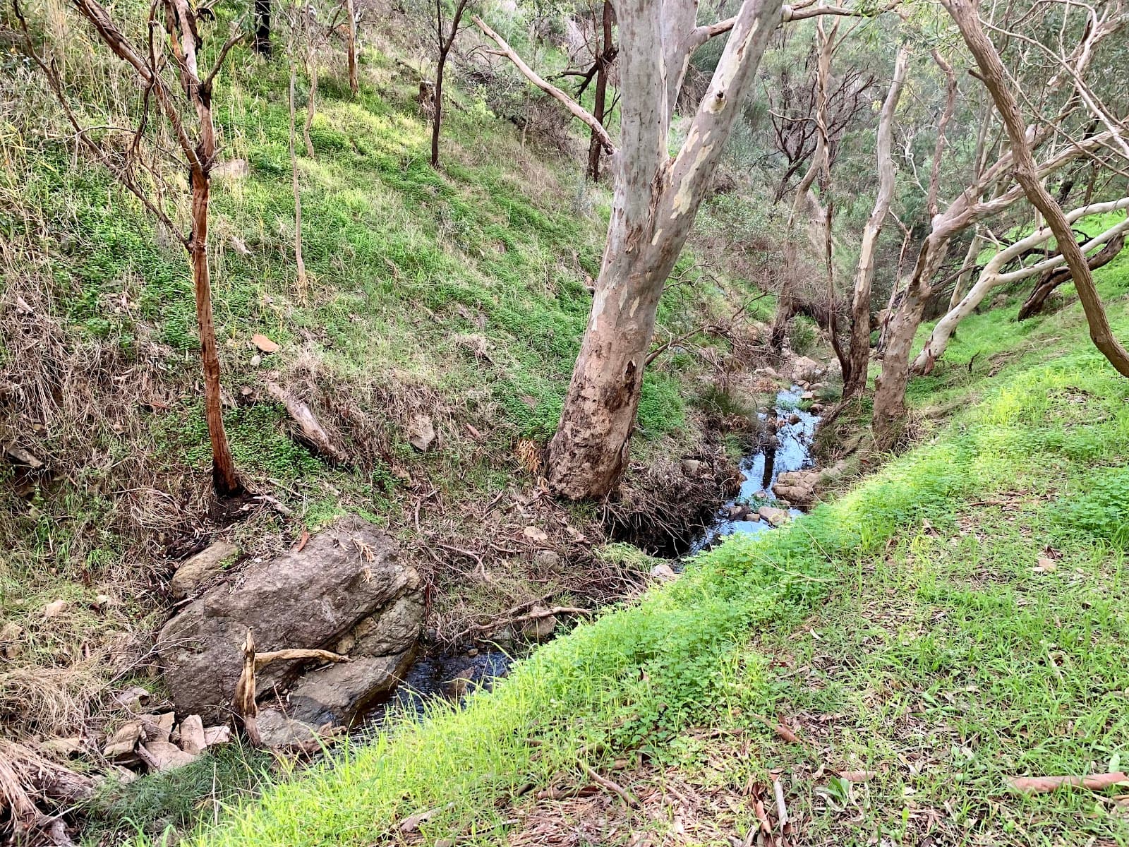 Chambers Gully Park — Hindmarsh, Adelaide