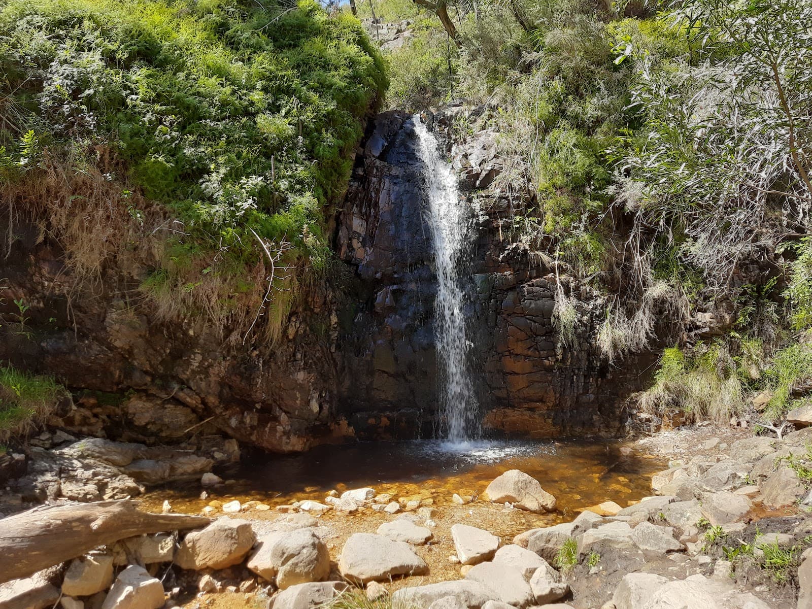 Waterfall Gully Adelaide Hills — Unley, Adelaide