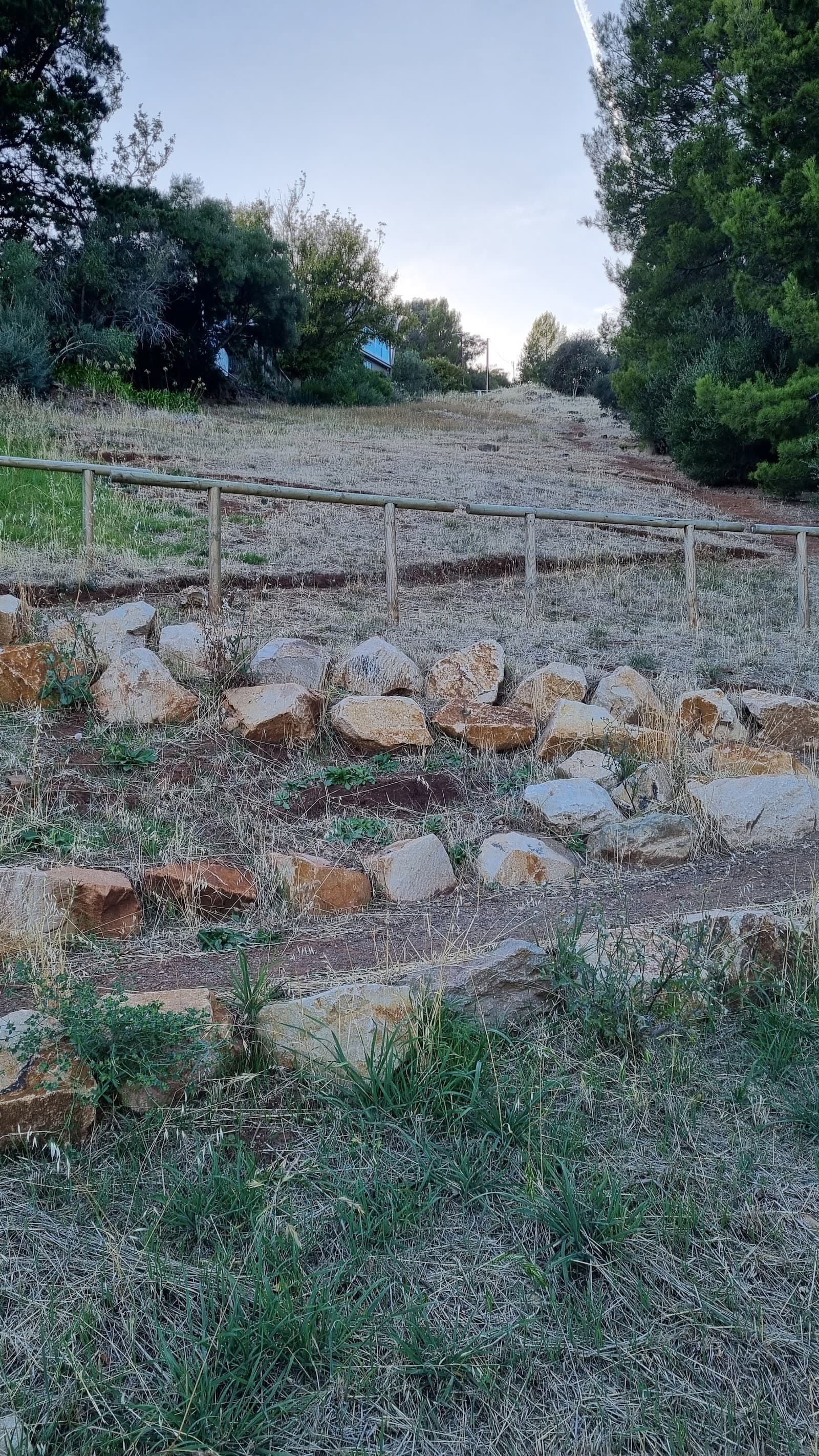 Themeda Circuit – Circuit C, Burnside Walks - Start — Hindmarsh, Adelaide