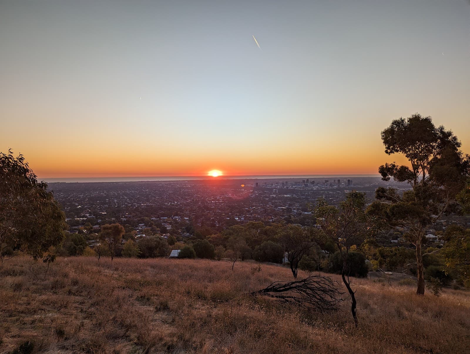 Themeda Circuit – Circuit C, Burnside Walks - Start — Hindmarsh, Adelaide