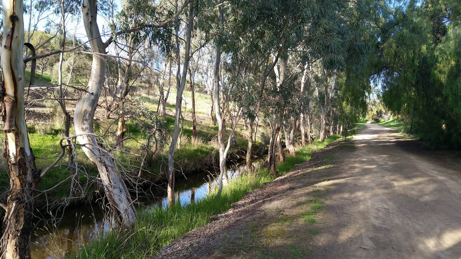 Walkley Heights Walking Trail — Prospect, Adelaide