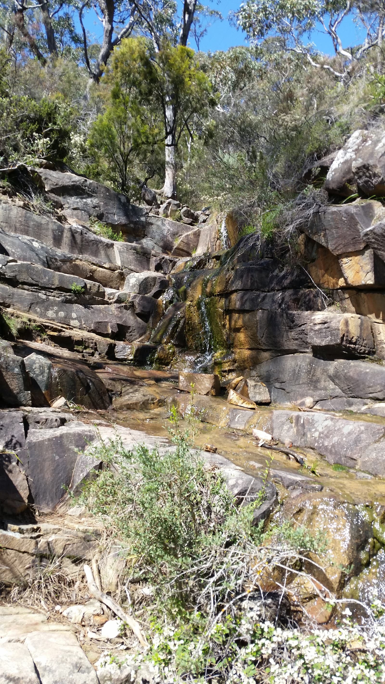 Horsnell Gully Conservation Park — Norwood, Adelaide