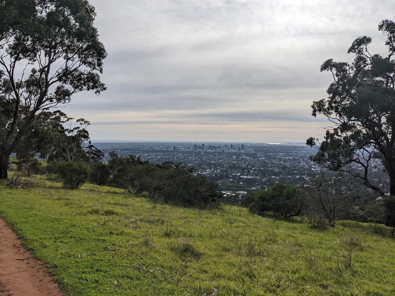 Waite Conservation Reserve — Mitcham, Adelaide