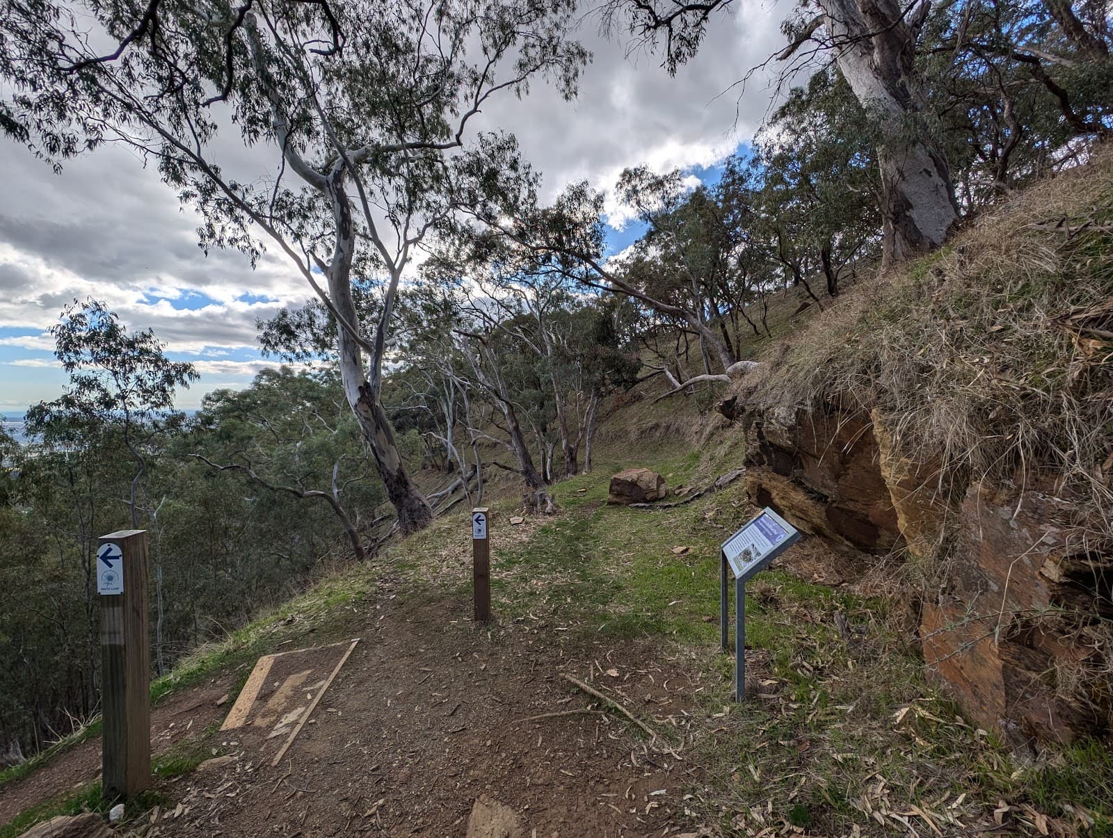 Waite Conservation Reserve — Mitcham, Adelaide