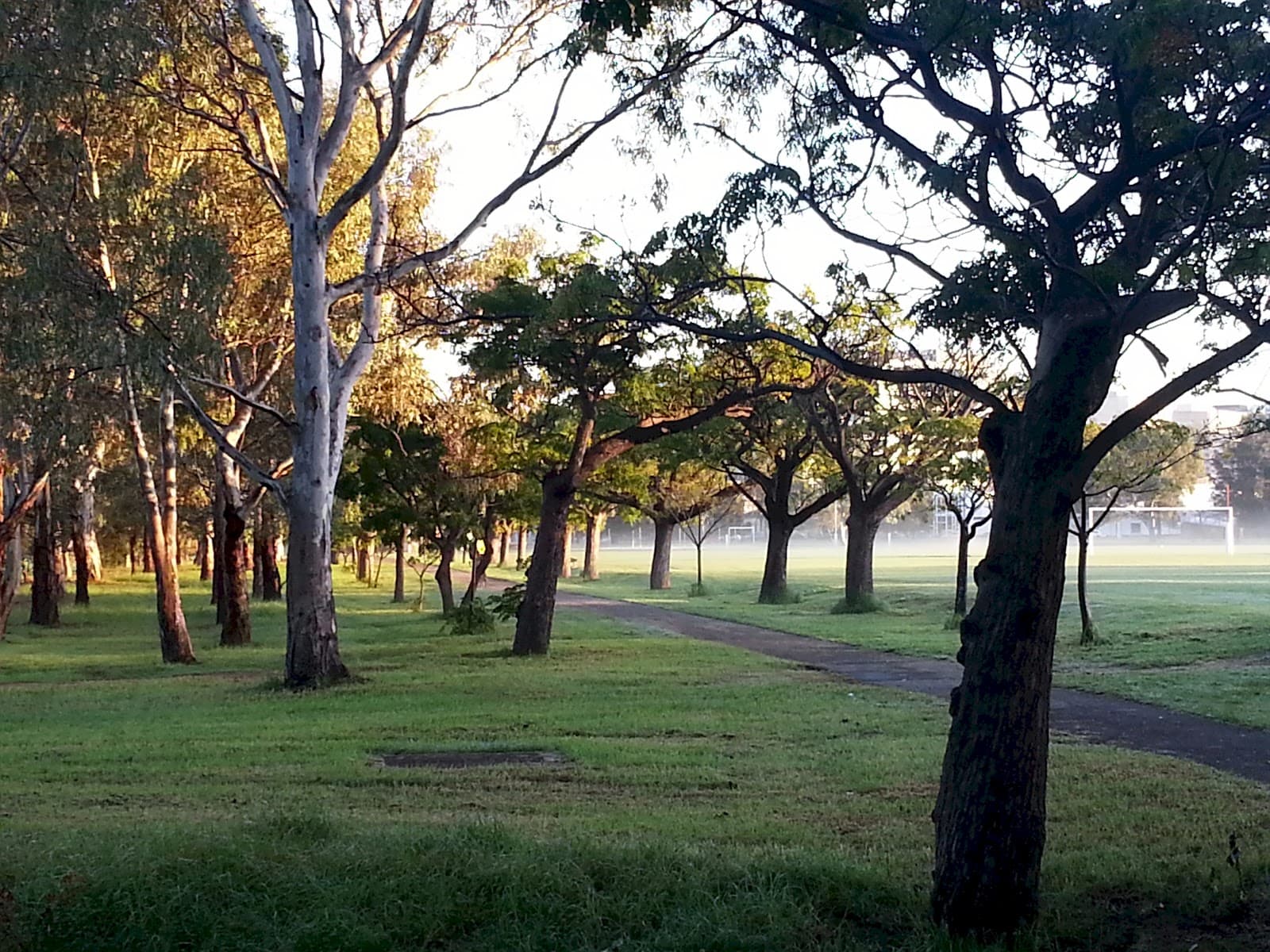 Blue Gum Park (Park 20) — Unley, Adelaide