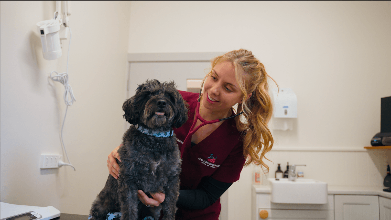 Adelaide Veterinary Walk In Clinic — Prospect, Adelaide