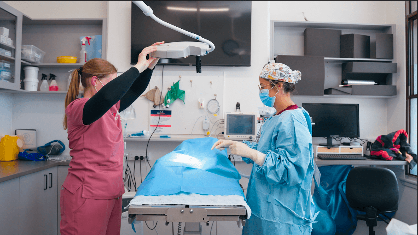 Adelaide Veterinary Walk In Clinic — Prospect, Adelaide