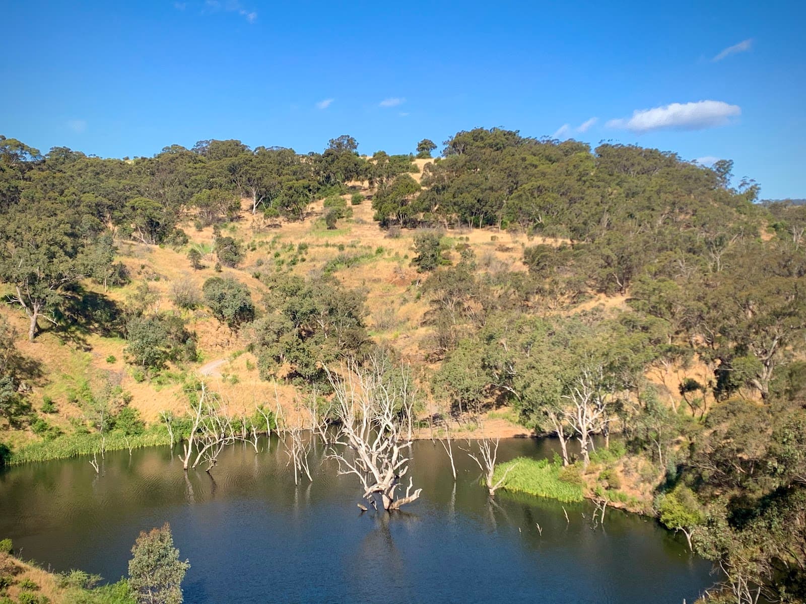 Sturt Gorge Recreation Park — Brighton, Adelaide