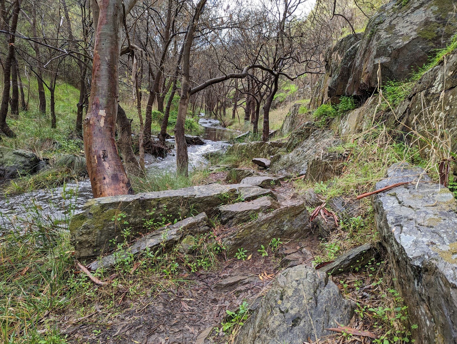 Sturt Gorge Recreation Park — Brighton, Adelaide