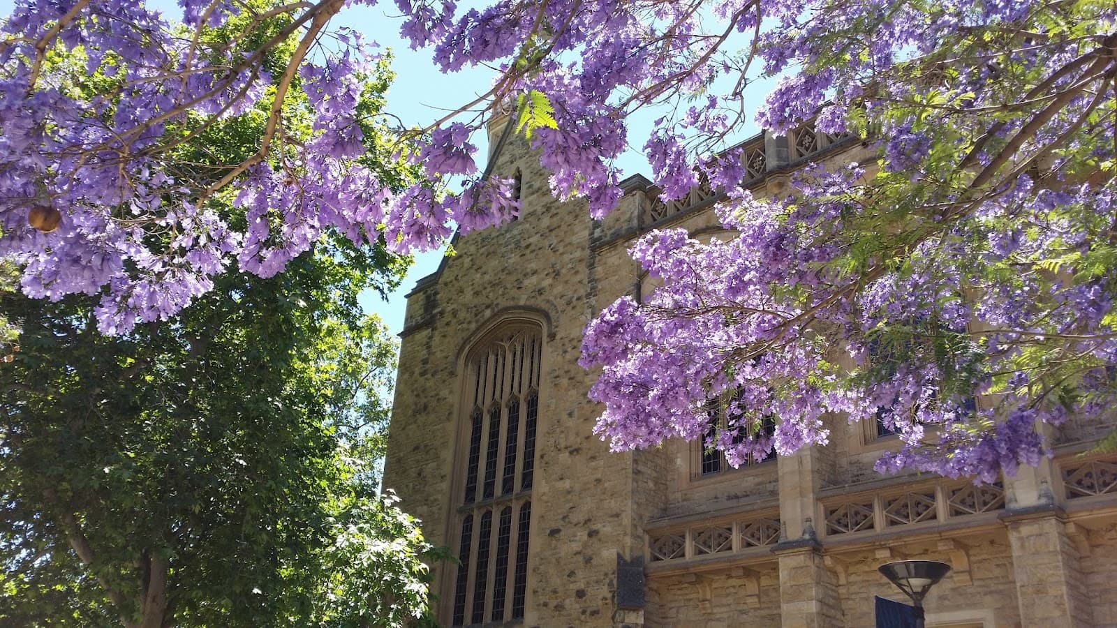Down to Earth Tours — Prospect, Adelaide