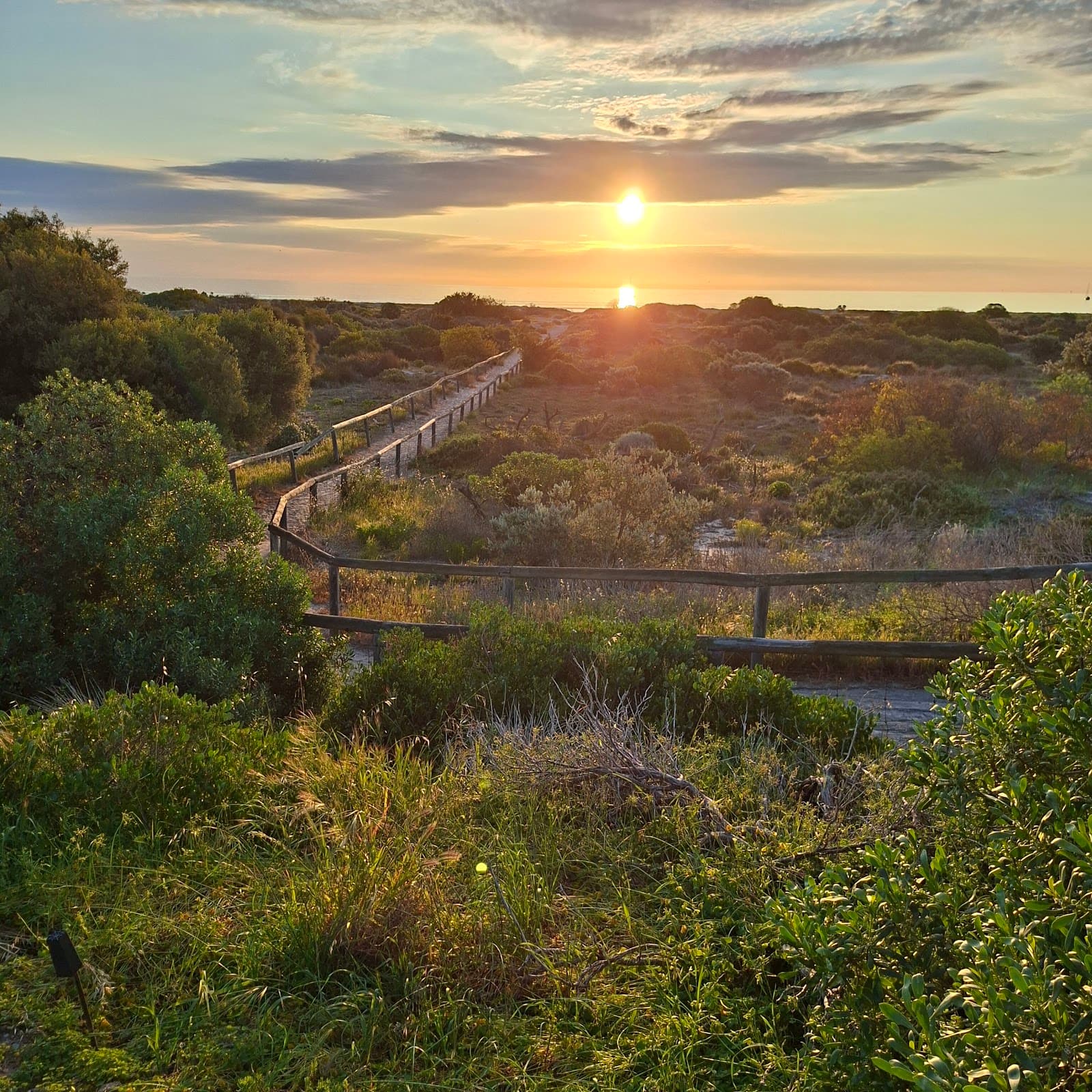 Mudlangga to Yertibulti Track — Port Adelaide, Adelaide