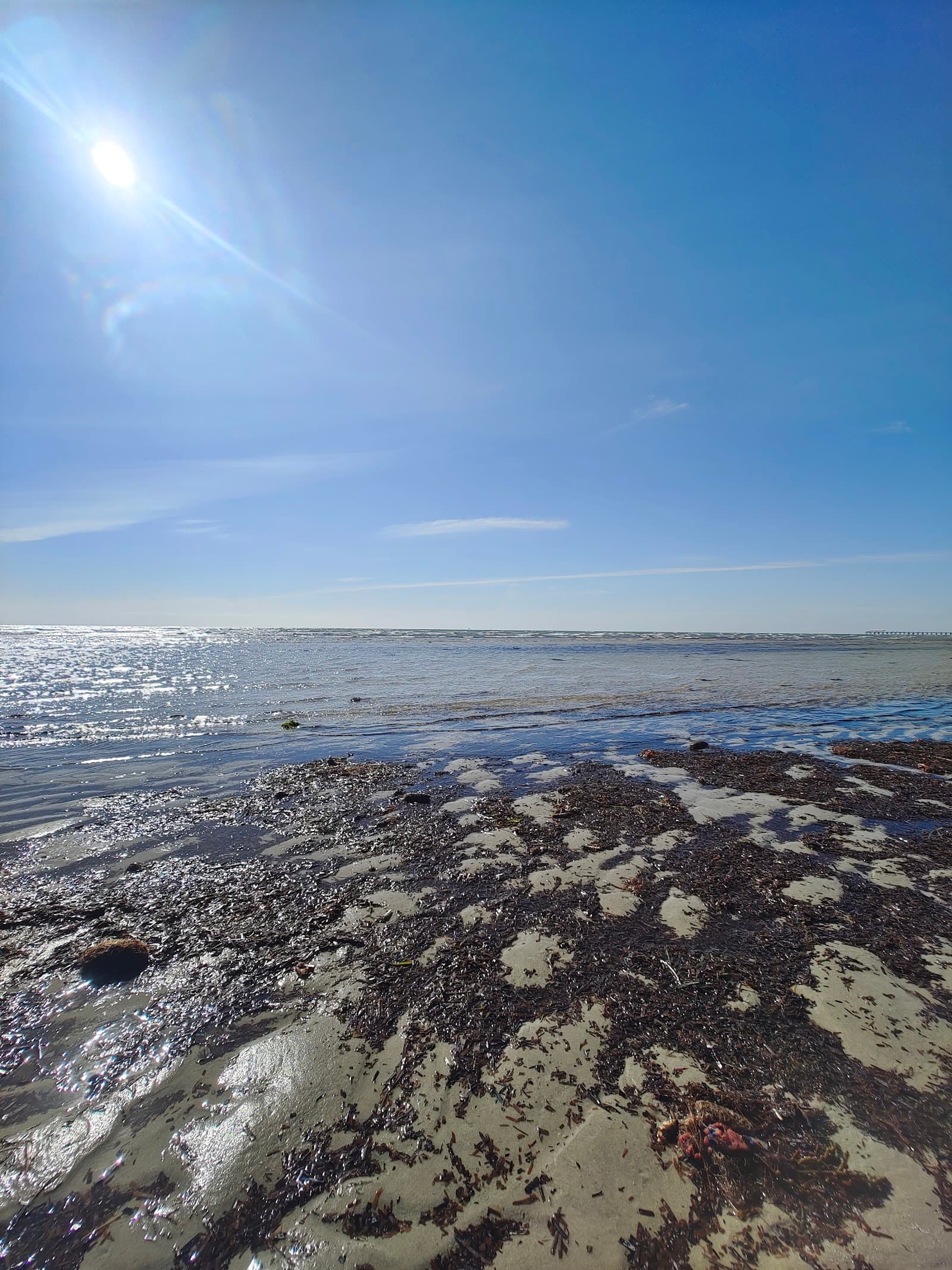 Semaphore South Foreshore — Semaphore, Adelaide