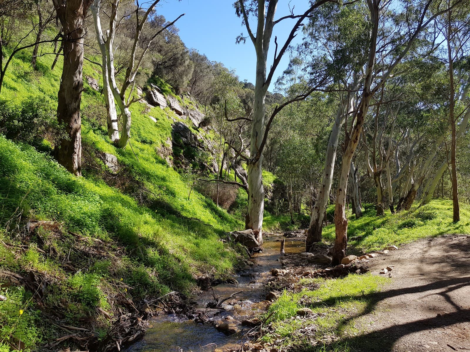 Langman Reserve Lookout — Burnside, Adelaide