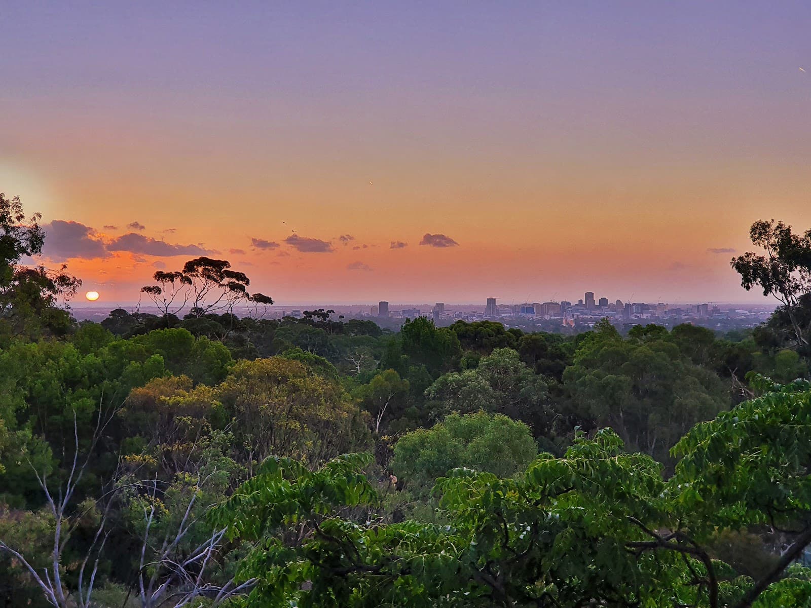 Langman Reserve Lookout — Burnside, Adelaide