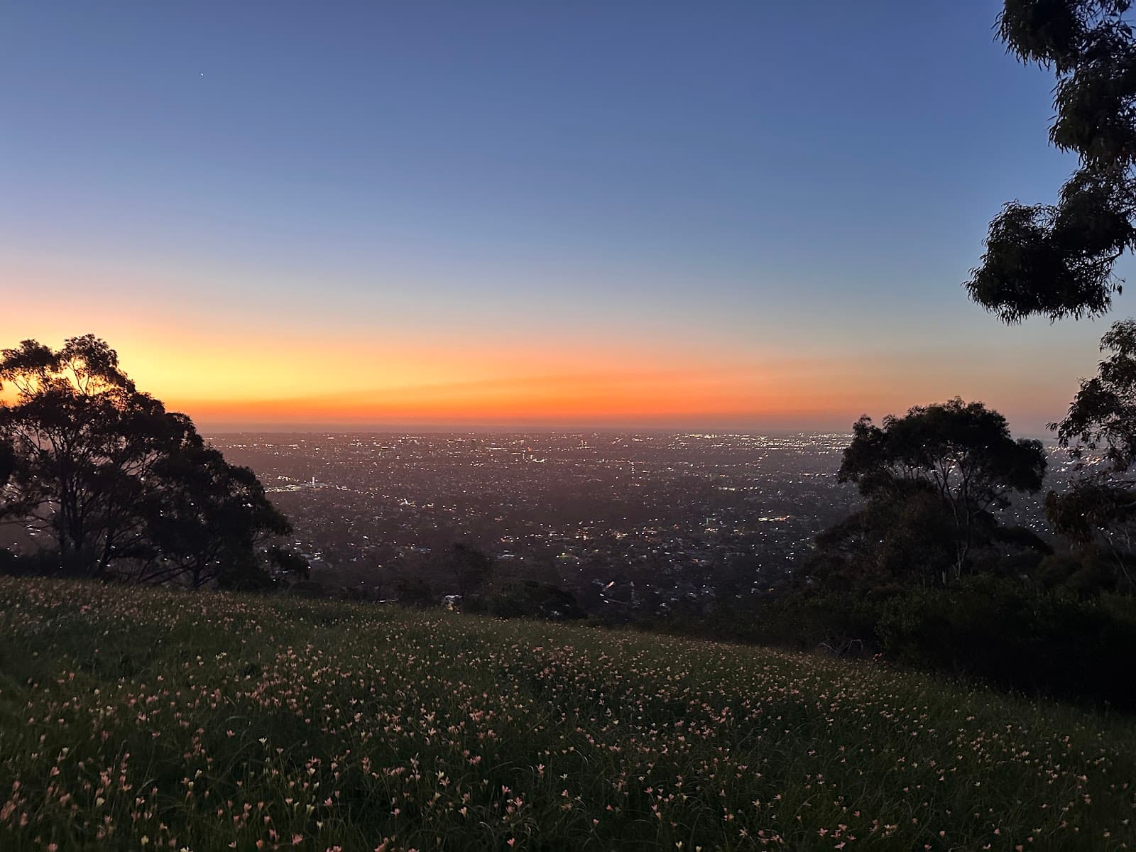 Greenhill Recreation Park — Burnside, Adelaide