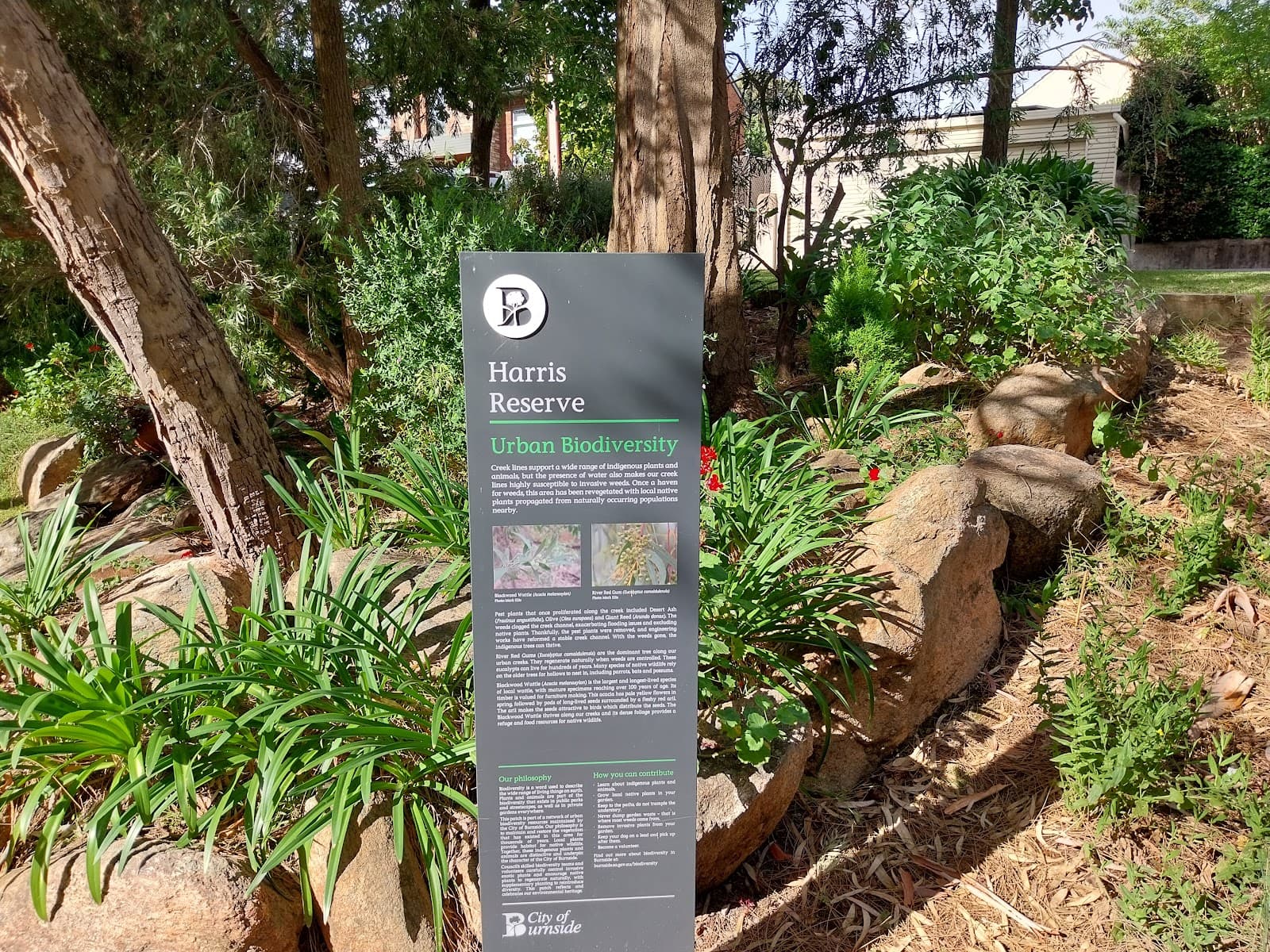 Harris Reserve — Burnside, Adelaide