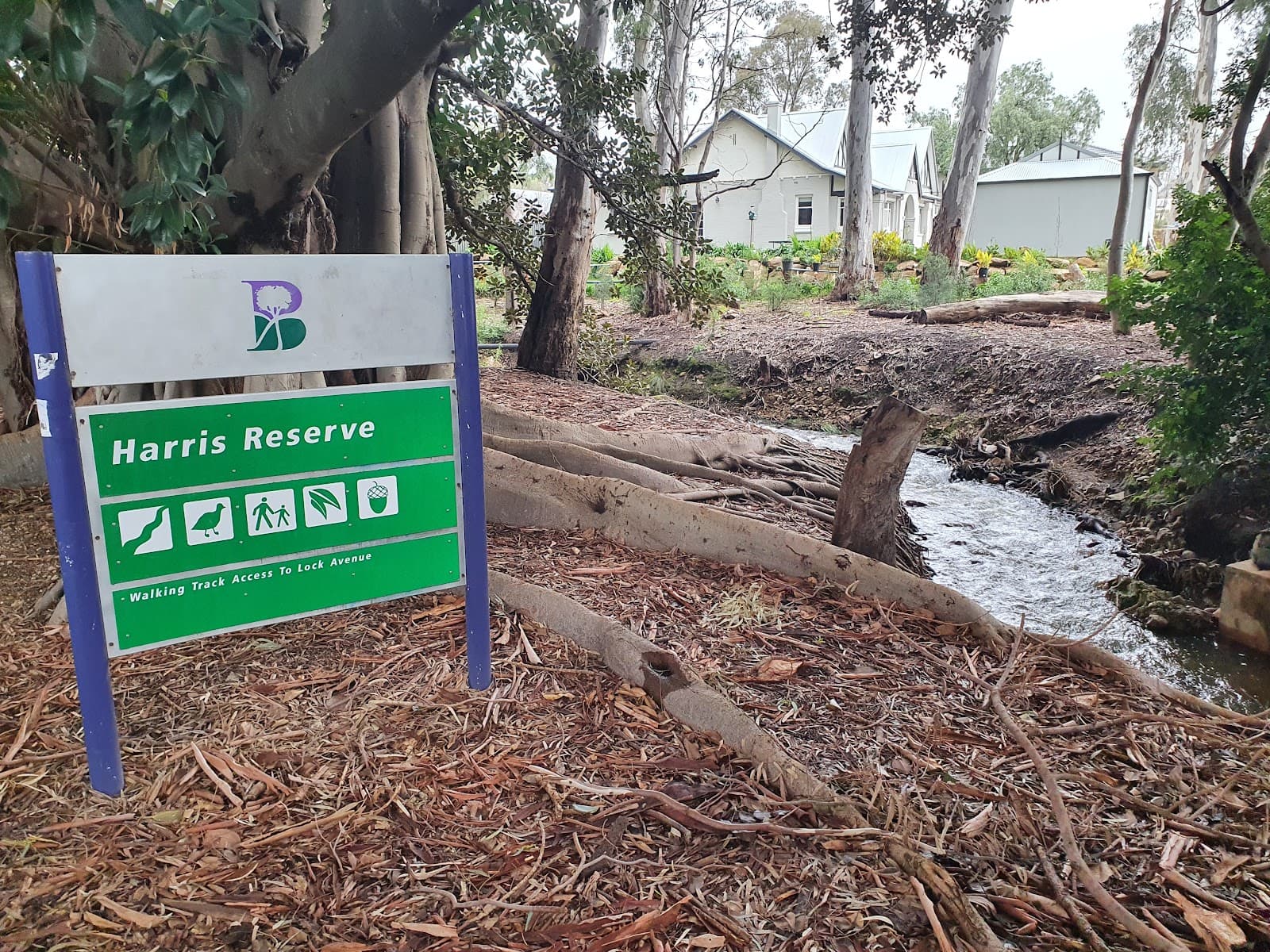 Harris Reserve — Burnside, Adelaide