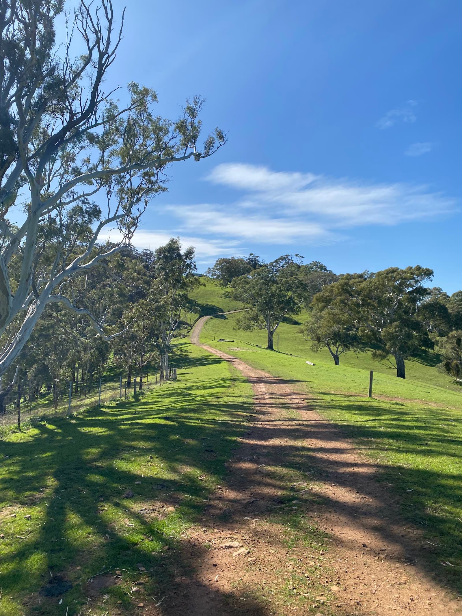 Brown Hill Track — Mitcham, Adelaide