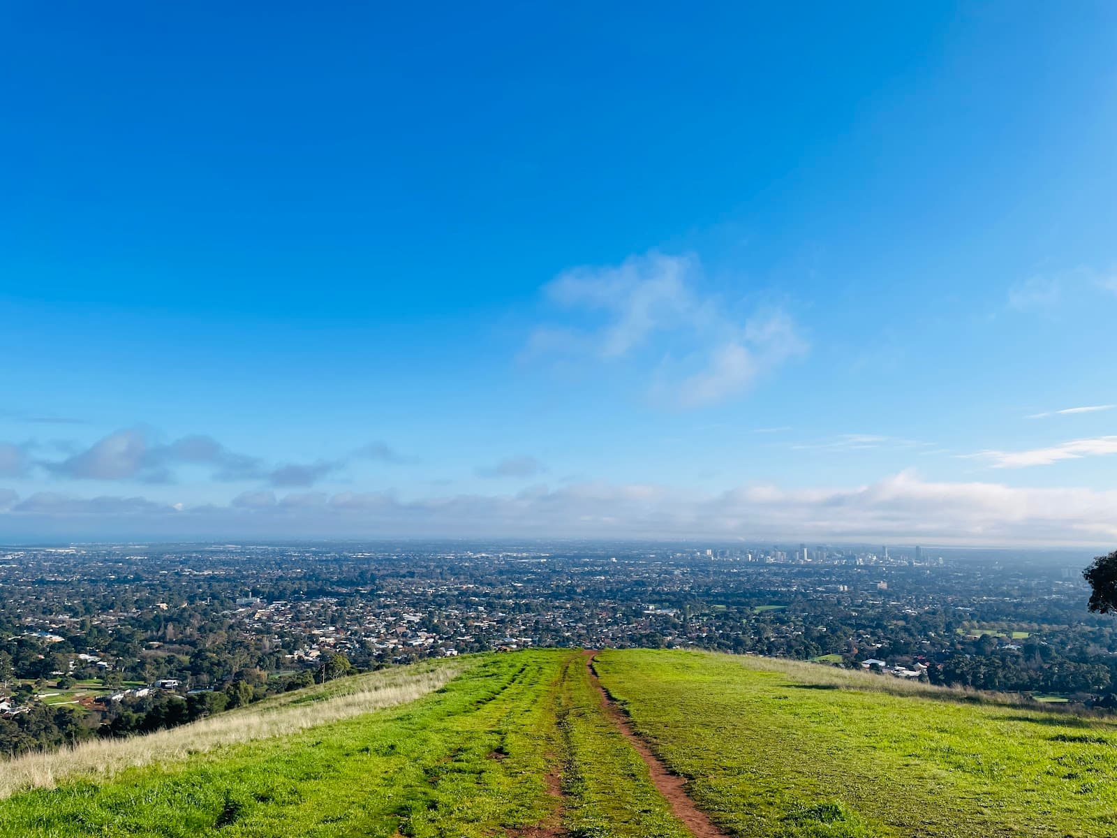Brown Hill — Mitcham, Adelaide