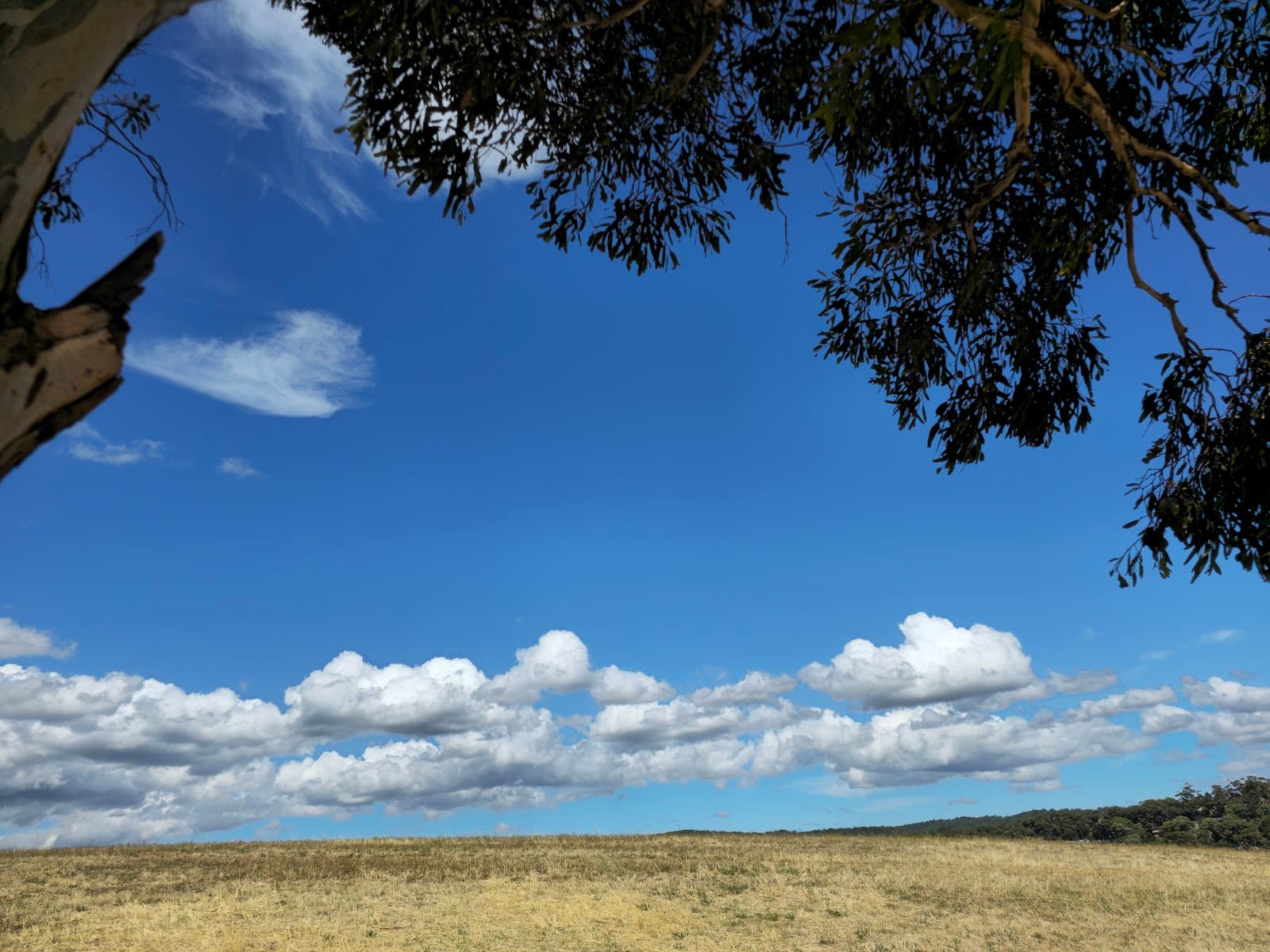 Brown Hill — Mitcham, Adelaide
