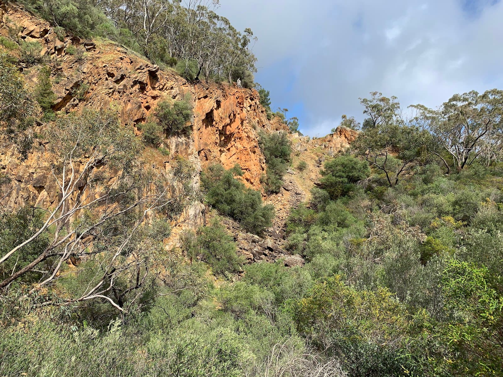 Lynton Reserve — Mitcham, Adelaide