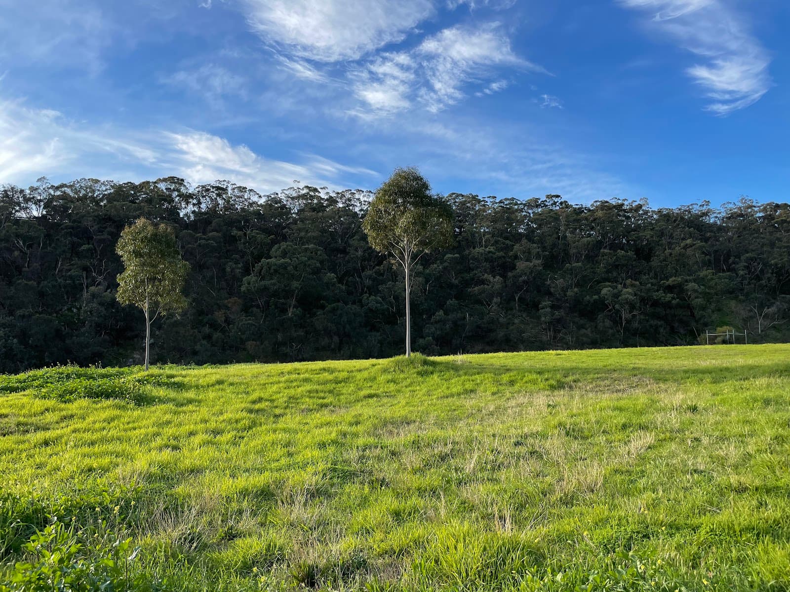 Lynton Reserve — Mitcham, Adelaide