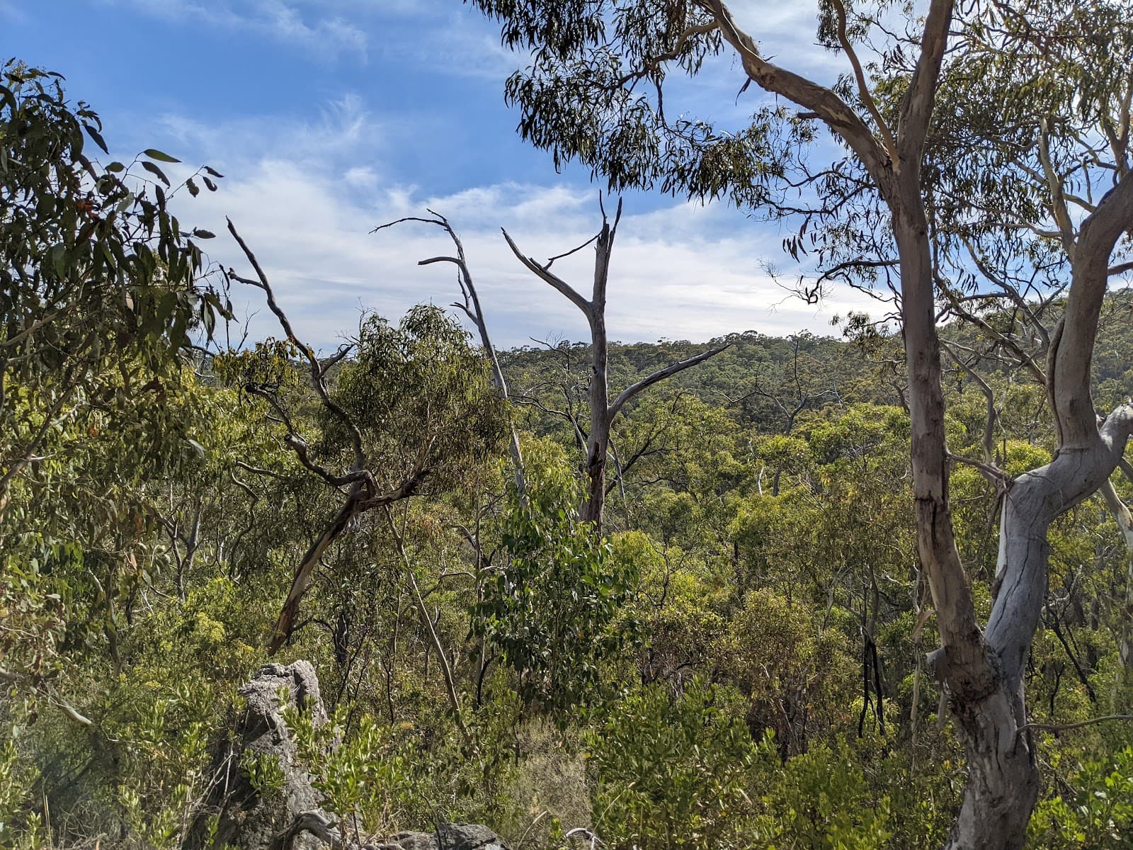 Belair National Park — Mitcham, Adelaide
