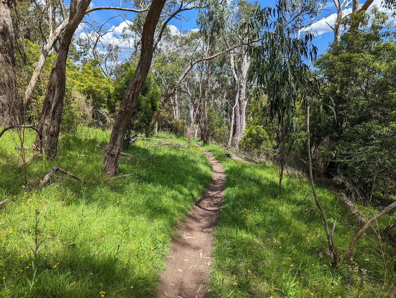 Belair National Park — Mitcham, Adelaide