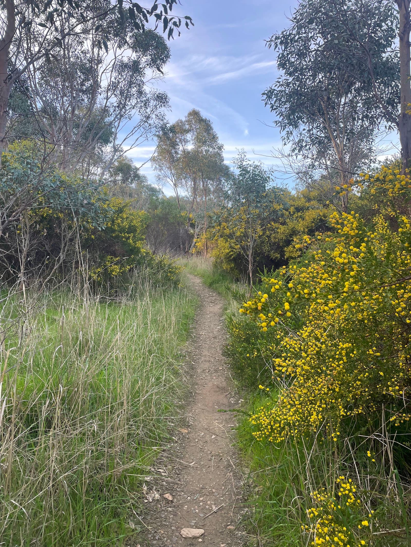 Punchbowl Lookout and Trails — Hindmarsh, Adelaide