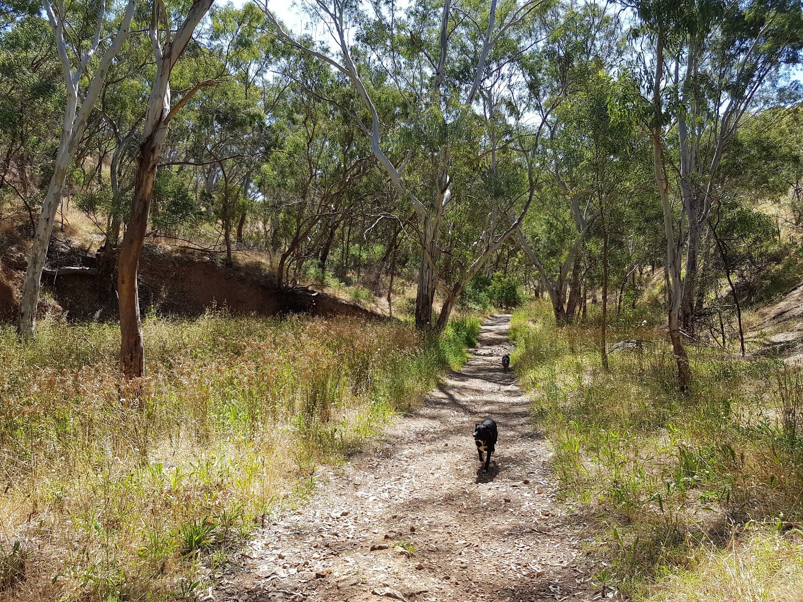 Shepherds Hill Recreation Park — Hindmarsh, Adelaide