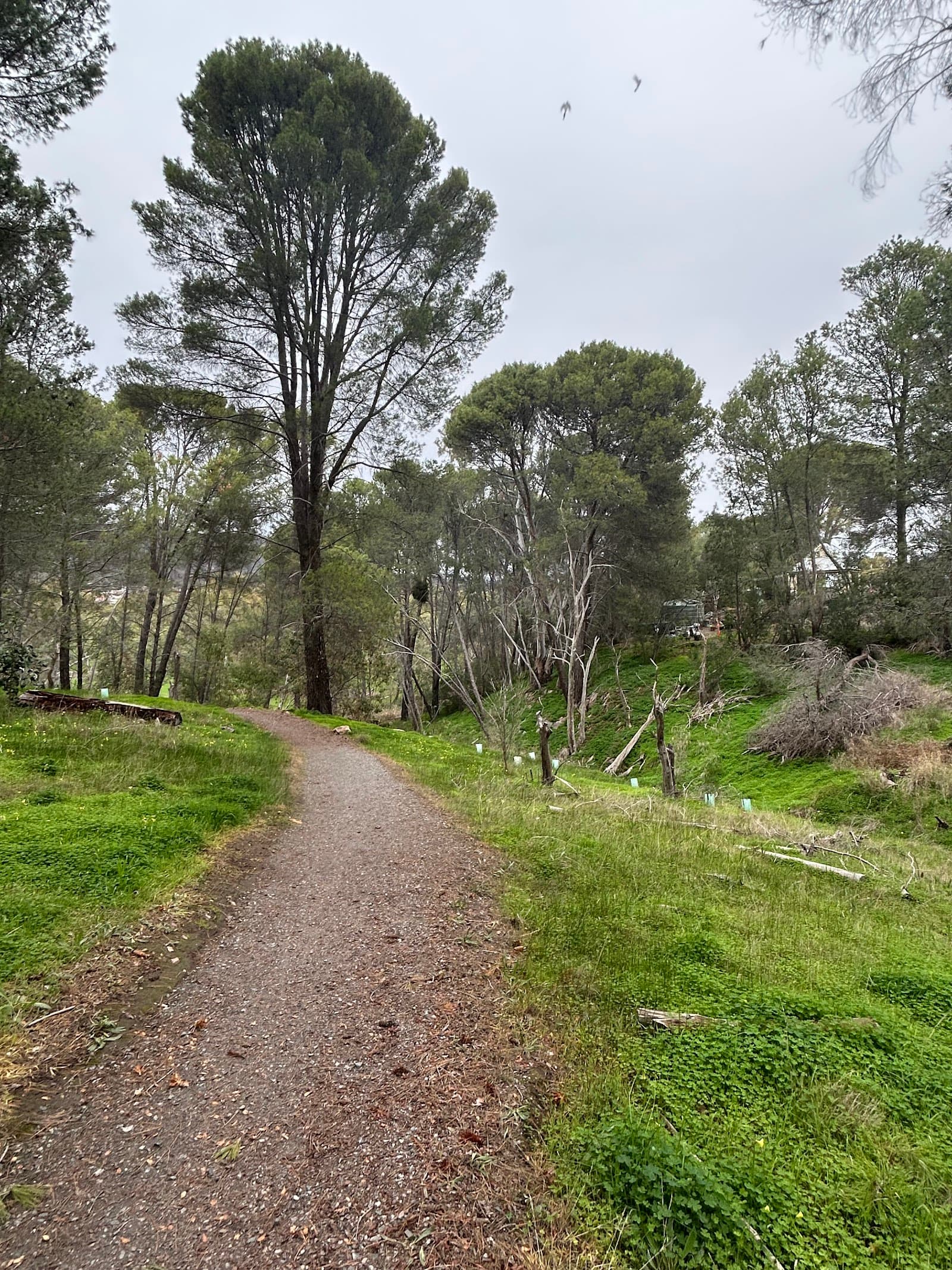 Highbury Aqueduct Reserve — Brighton, Adelaide