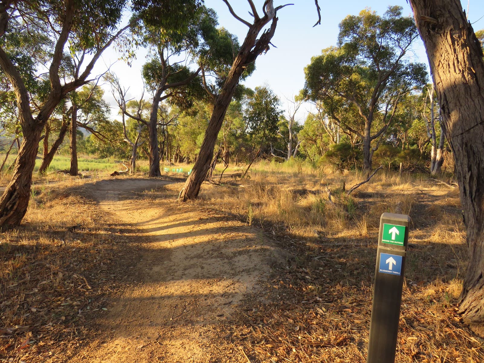 Tara Illa MTB Trails — Hahndorf, Adelaide