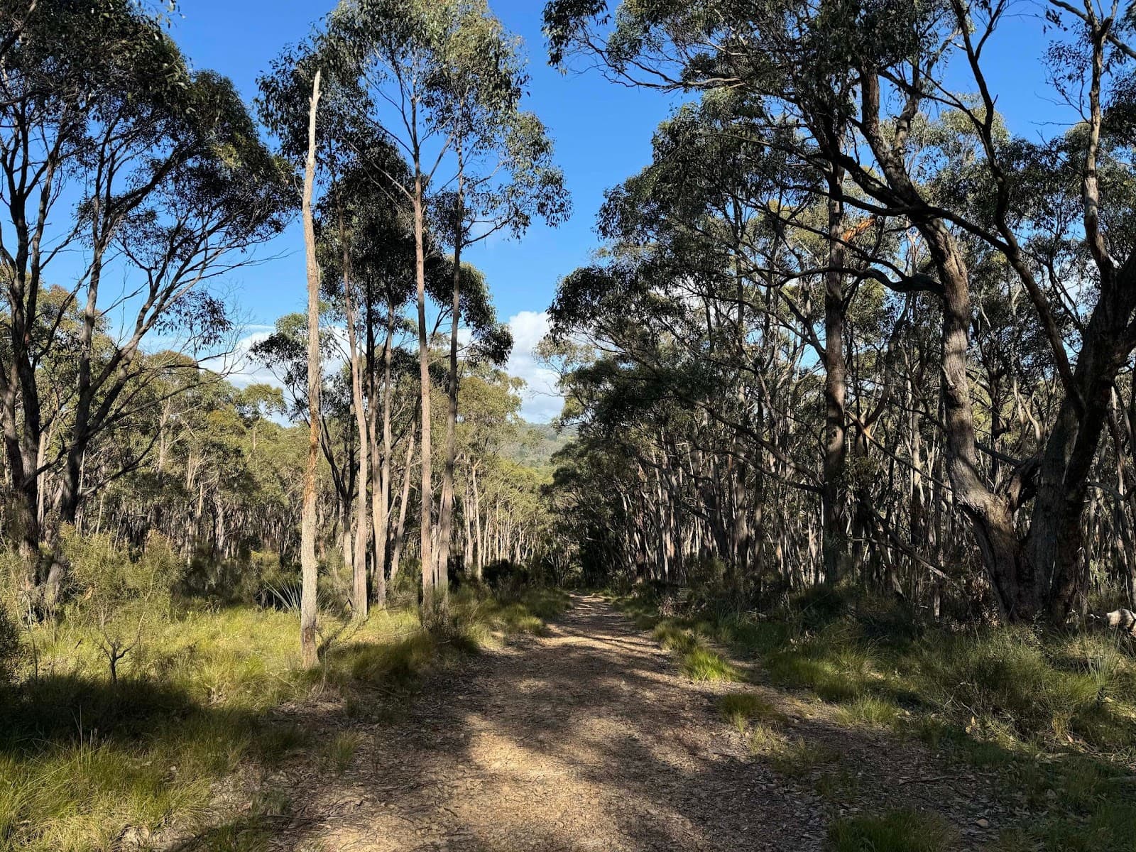 Mylor Conservation Park — Hahndorf, Adelaide
