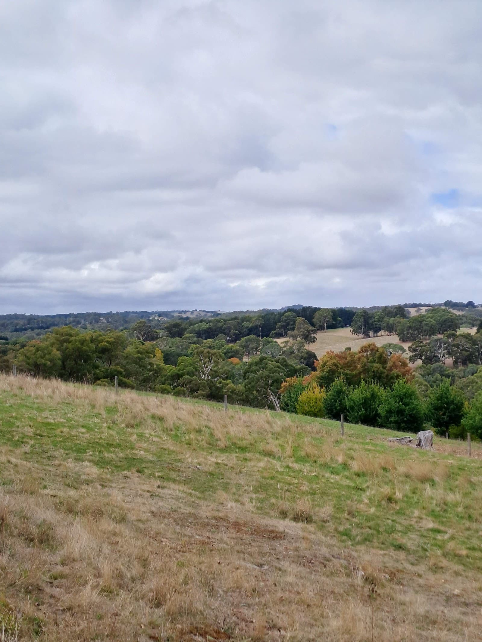 Mylor Conservation Park — Hahndorf, Adelaide