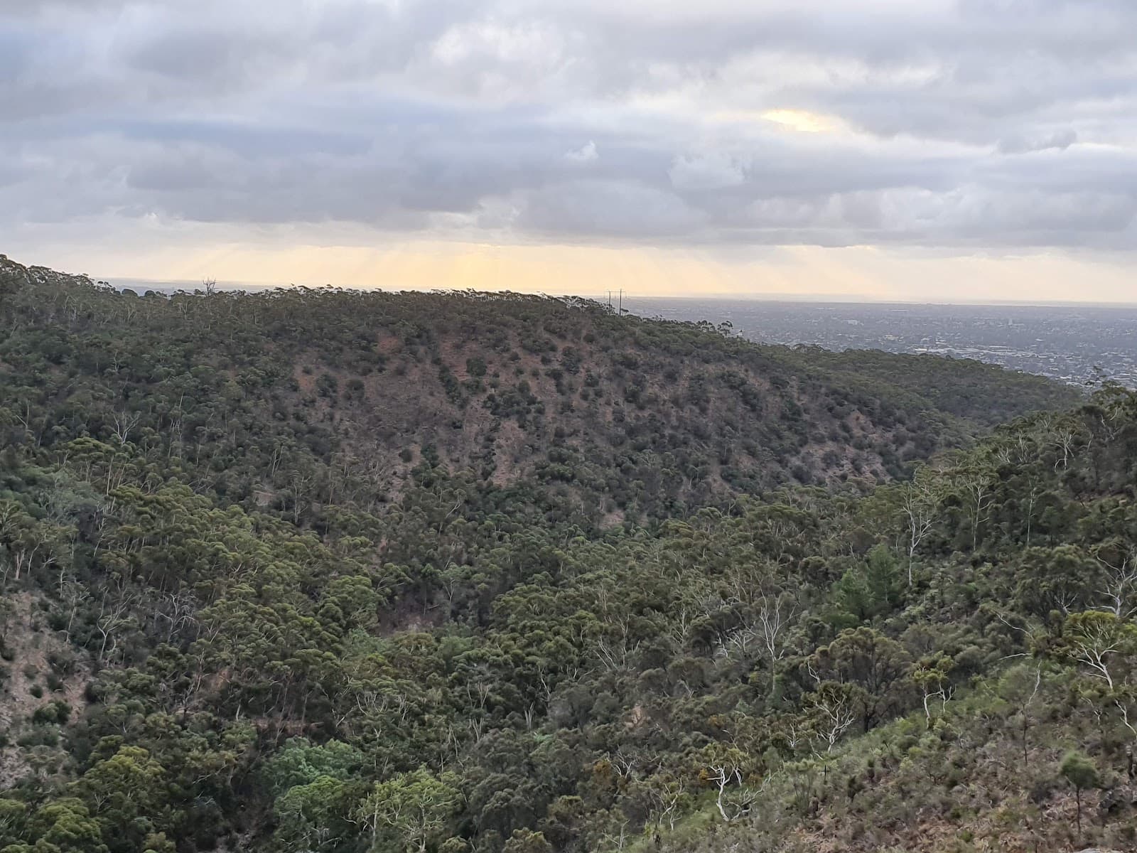 Deep View Lookout — Hindmarsh, Adelaide