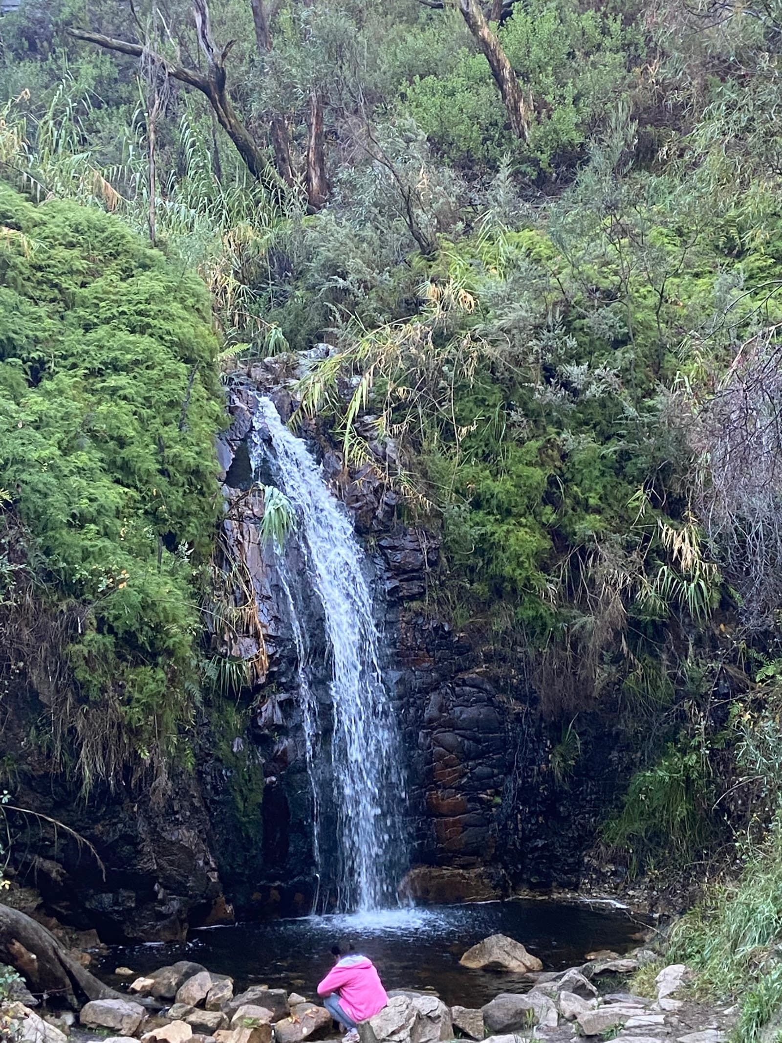Measday's Lookout — Hindmarsh, Adelaide