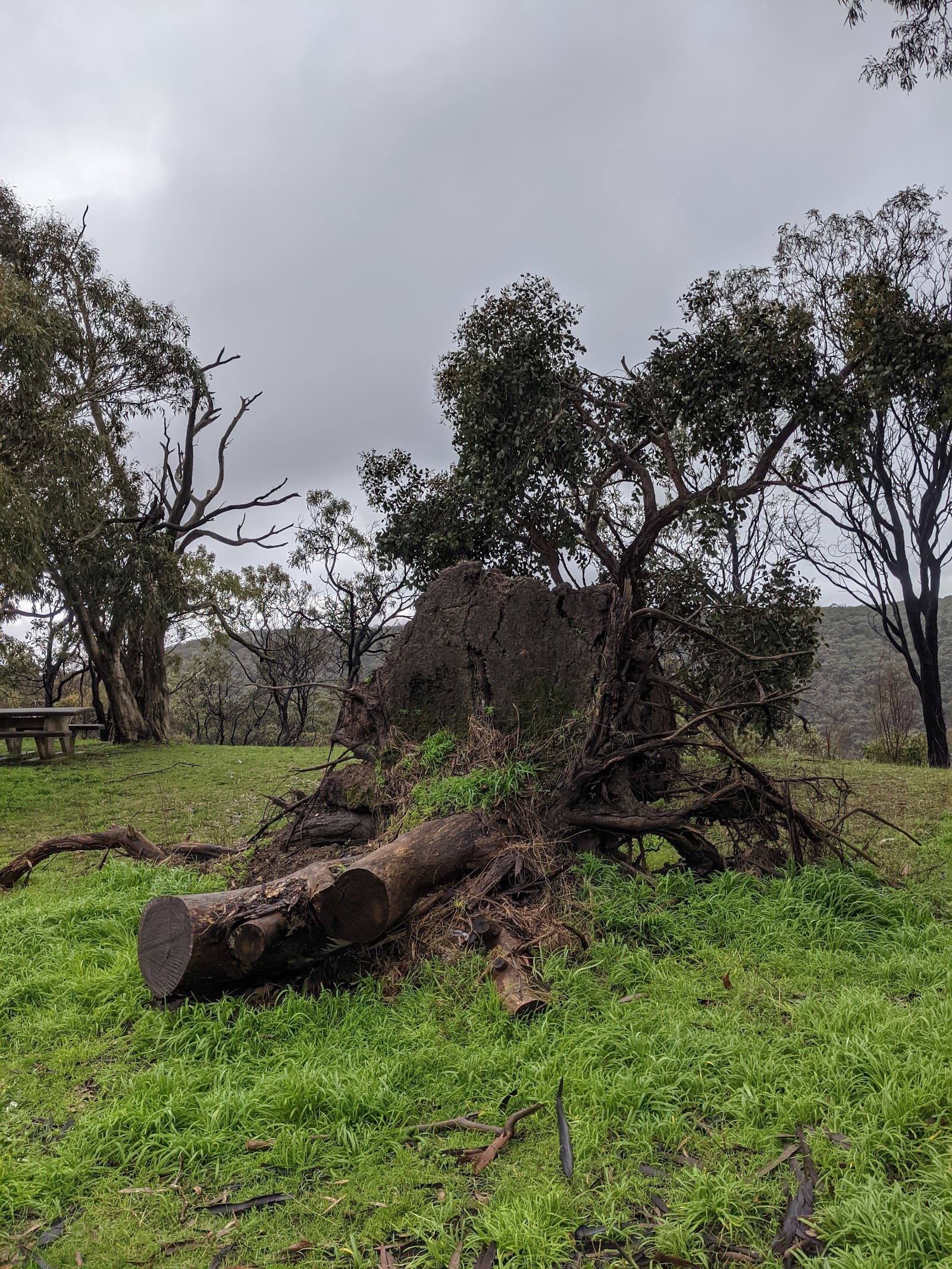 Measday's Lookout — Hindmarsh, Adelaide