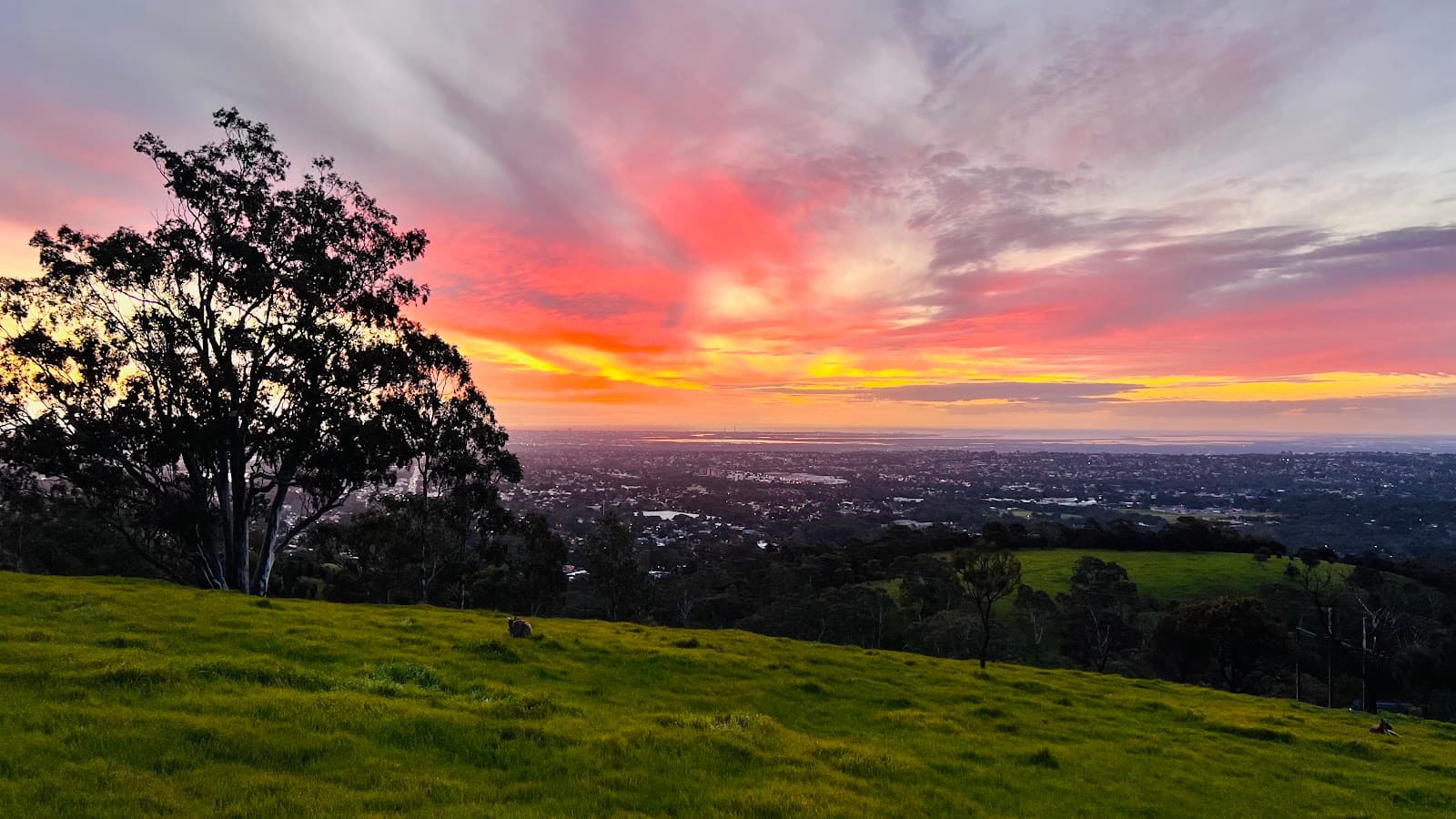 Aurko's Lookout — Vista, Adelaide