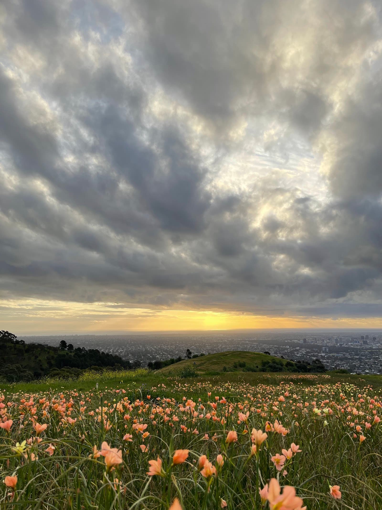 Mount Osmond Lookout — Mitcham, Adelaide