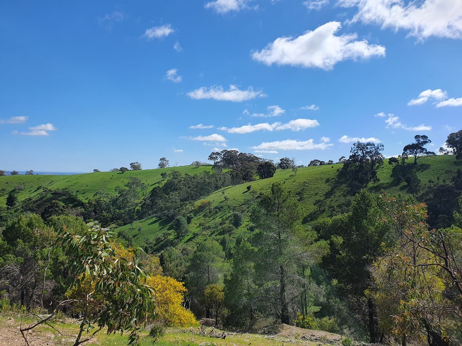 Anstey Hill Lookout — Prospect, Adelaide
