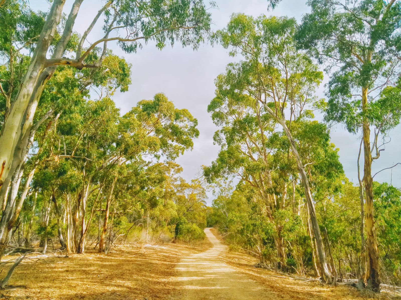 Anstey Hill Lookout — Tea Tree Gully, Adelaide