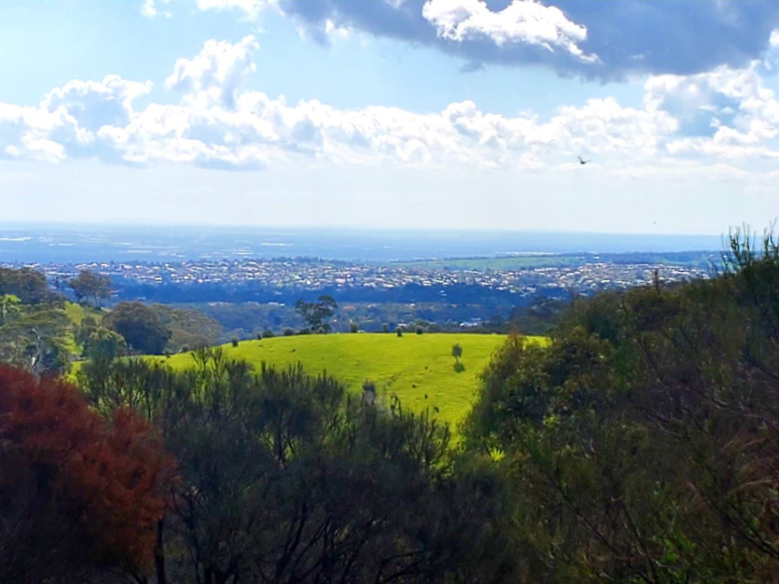 Anstey Hill Lookout — Tea Tree Gully, Adelaide