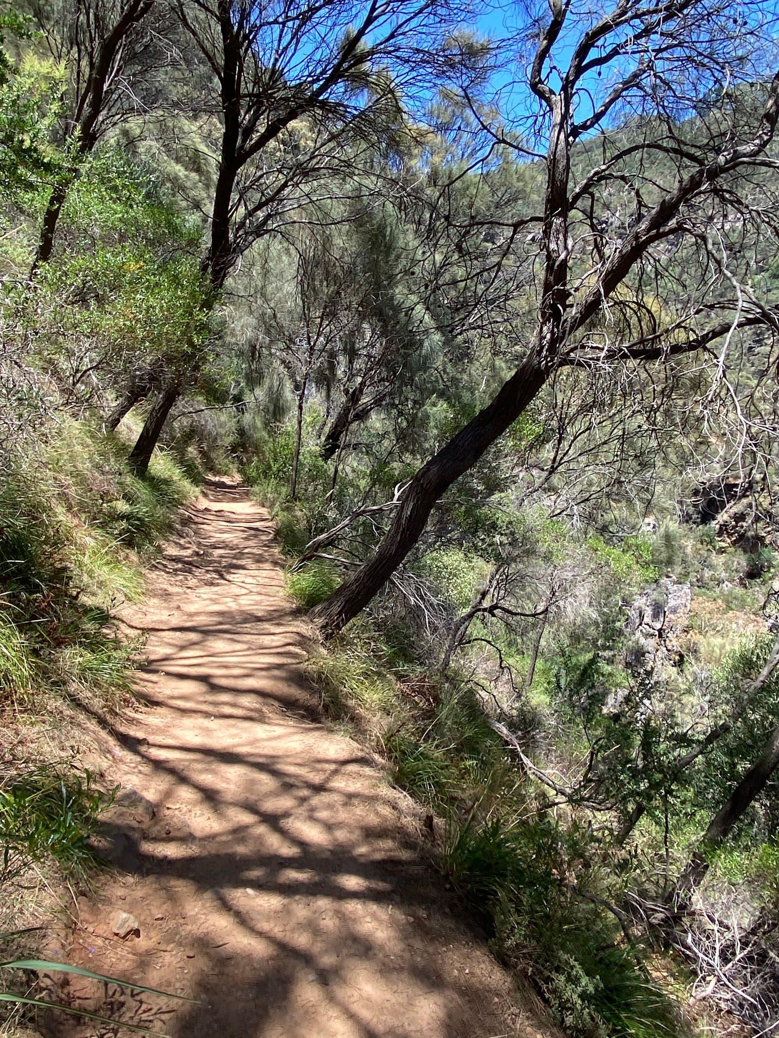 Eagles Nest Lookout — Hindmarsh, Adelaide